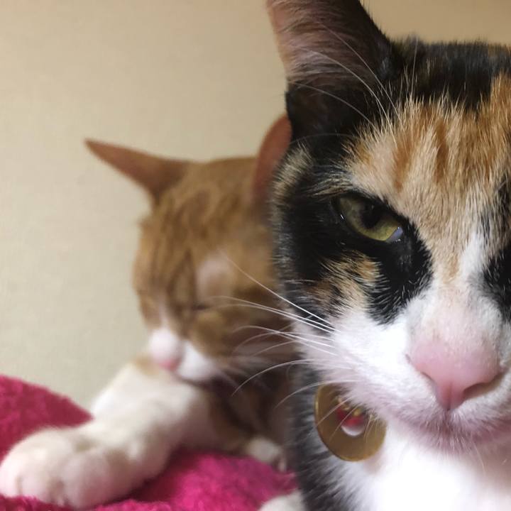 D2a4688b 88d0 4c56 99dc 00f901f61479 1551091177055