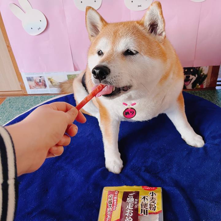 D2a47a12 d523 42d3 bf3c 648f468b804b 1681437290049