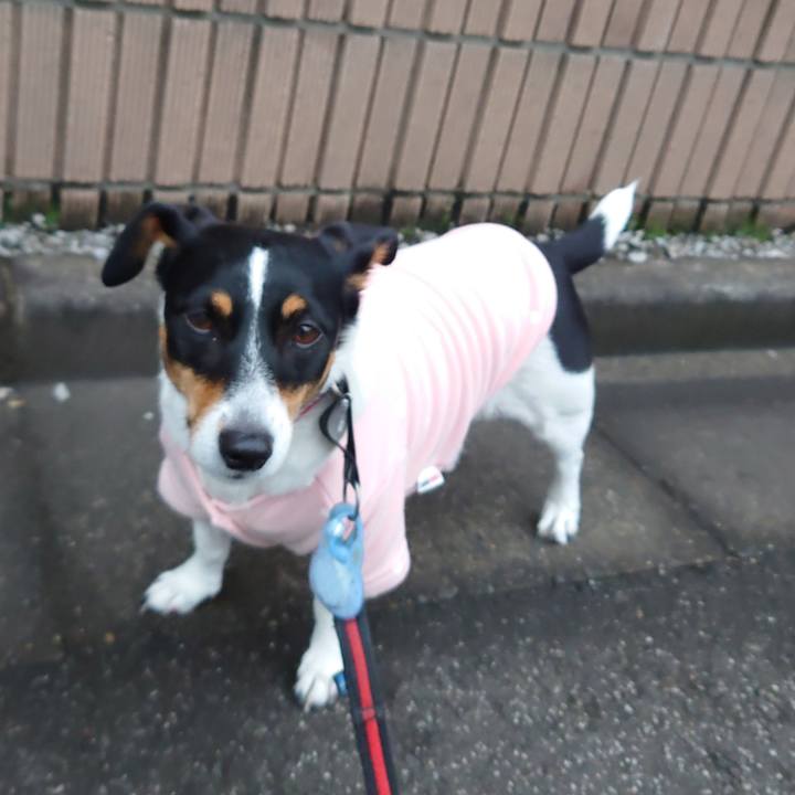 D2a4aaed 0f4a 4a7f 9788 df0e122a65cb 1732091869930