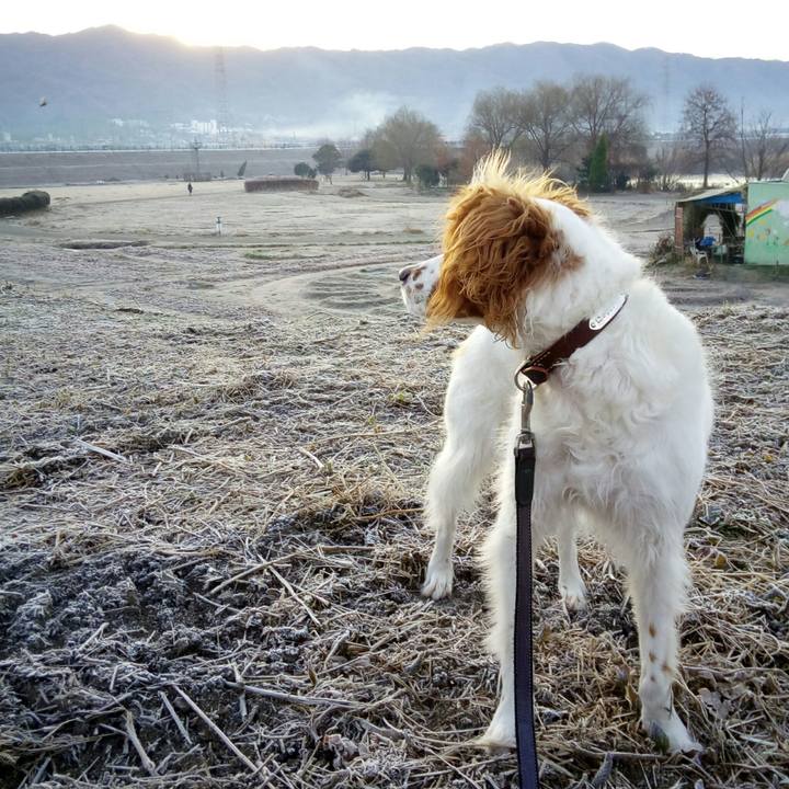 D2a4c0b6 8188 4828 94b9 af5f6dfadd83 1515973210244