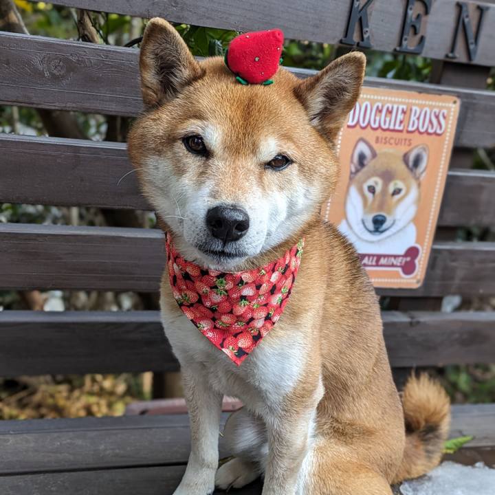 D2a4df7d bb92 42d6 af54 a1165e268ccd 1707386502359