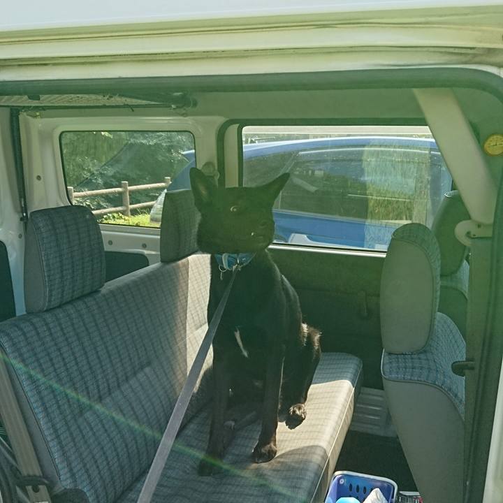 D2a4f057 3a14 4d70 977d 3bfdbf1724b4 1533449433274