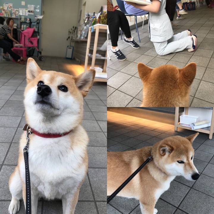 D2a4fcfd d398 4486 a71f 1230a46e7288 1525594735124