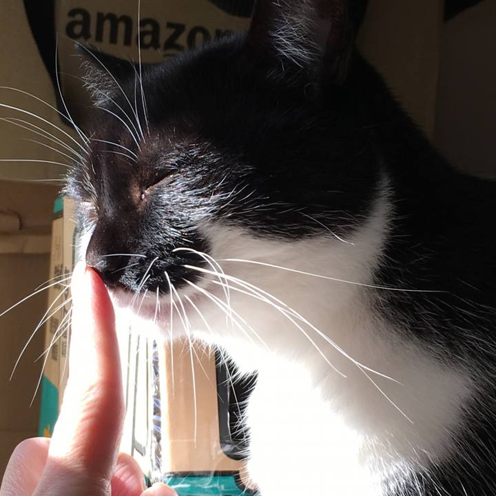 D2a5125d 039e 40b4 8f35 ab6ebc1ed570 1511763481569