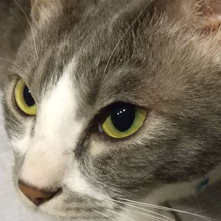 D2a514d1 28ad 4353 9da8 96f72f8a24d3 1619177491720