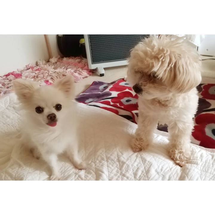 D2a53f54 e8eb 4cbf a6f4 54da00d2f1de 1652496963297