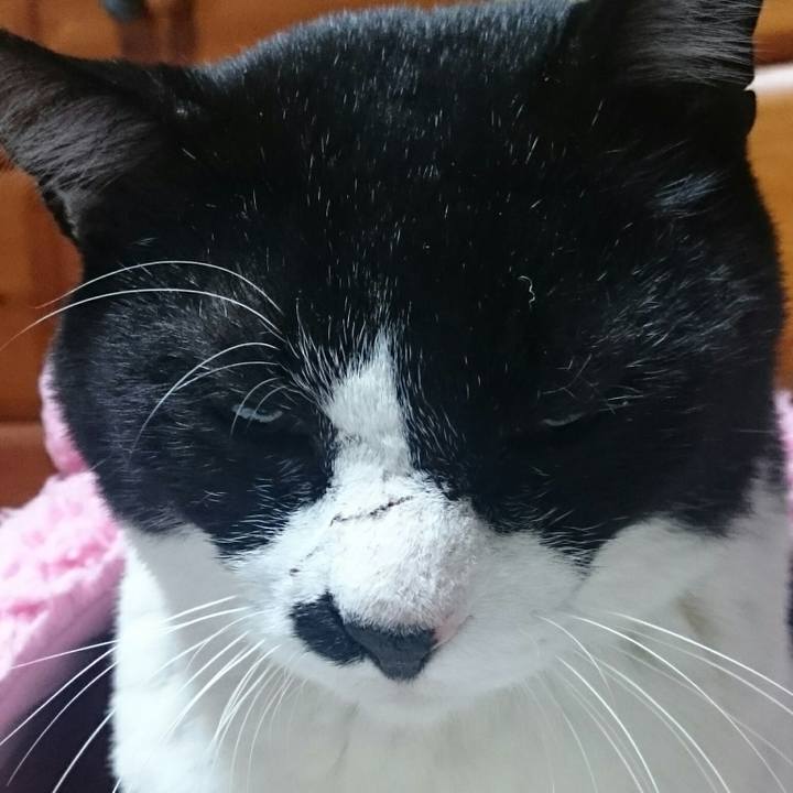 D2a54466 5f9d 4e2f 9a97 ad5a3e931086 1511959792286