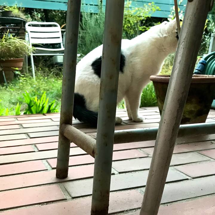 D2a54dc3 1323 4f7c 8497 e679594d0f23 1573878545346