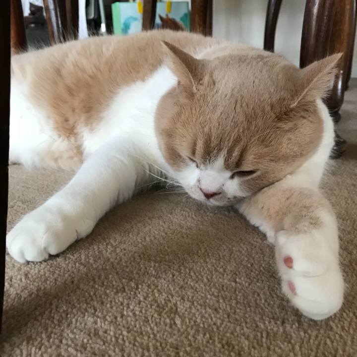 D2a5a67f 967a 45f4 bb9d d4d8b5971719 1515556842599