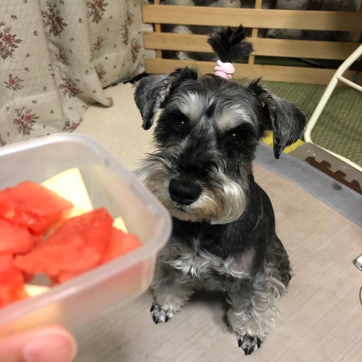 D2a5d8af 9c61 4d13 a2f3 259d5eda3291 1651846243603