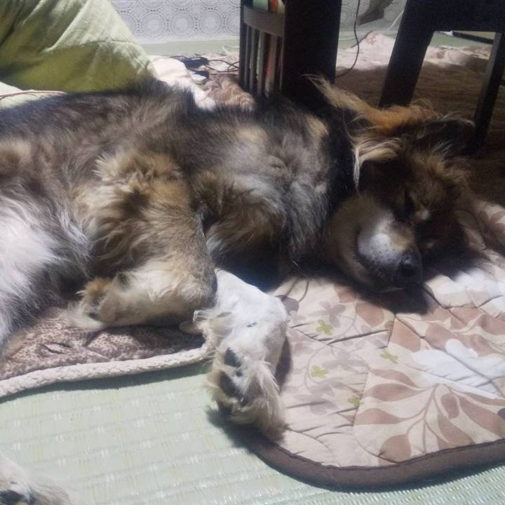 D2a601a8 5b7f 47fe 9f4b 7cfa0e1741f7 1605093653393