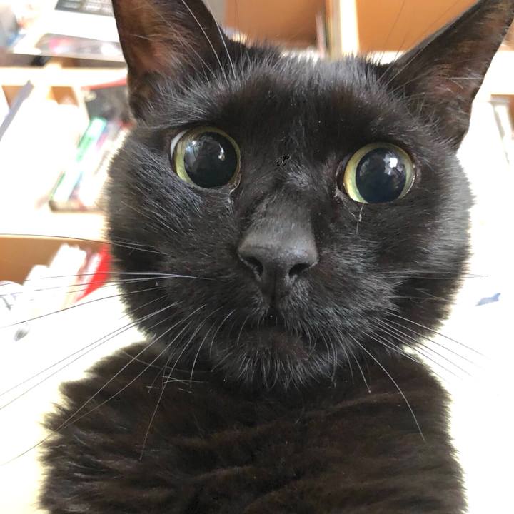 D2a61fe8 05d9 428e a61d db767ff19104 1562379848183