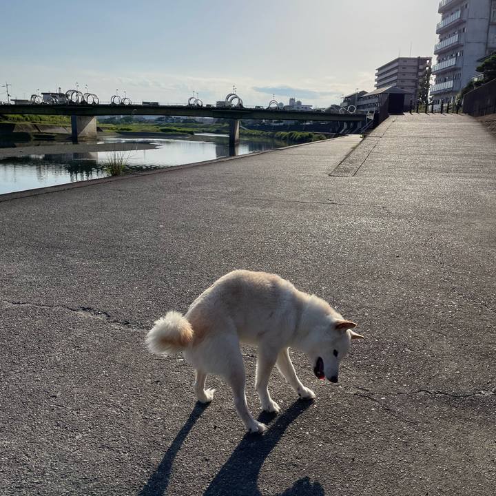 D2a691c9 78e0 4fa6 b5a2 3cb369f4d459 1654259343263