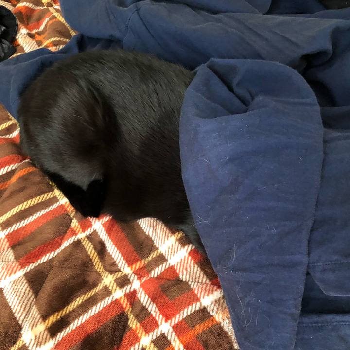 D2a6a61c 696e 490f 9f20 429e754dfe64 1520412684512