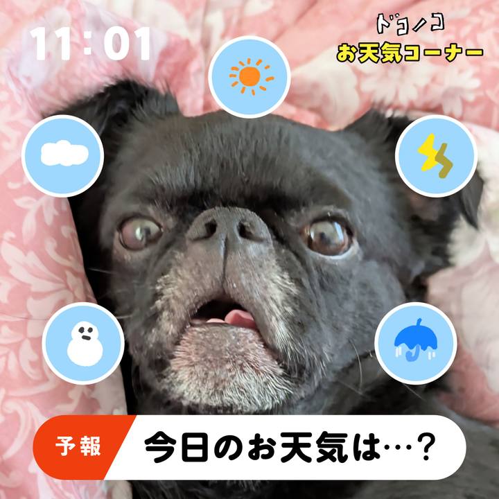 D2a6b98f 8177 4429 8440 79c0905ccd07 1781523718064