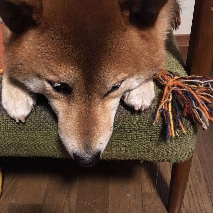 D2a6f059 1f95 4e58 89ad c694e16ae0dc 1549199928841