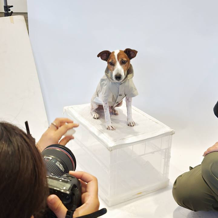 D2a6fe62 ee8f 4d35 8fe5 abb94d86f781 1721451435699