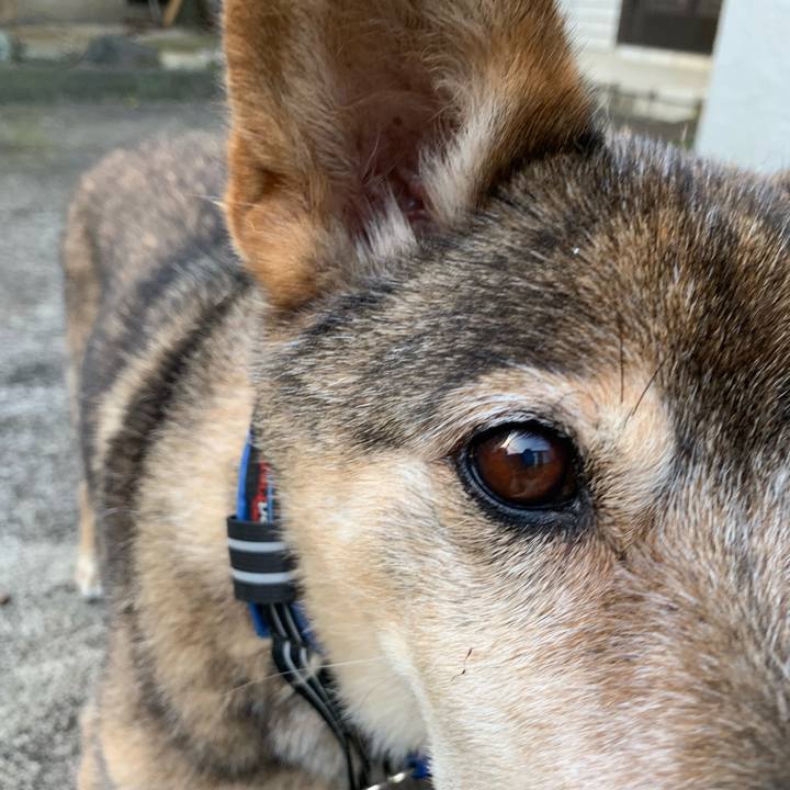 D2a74ffa a000 49f6 8629 c20000f996a1 1567895975106