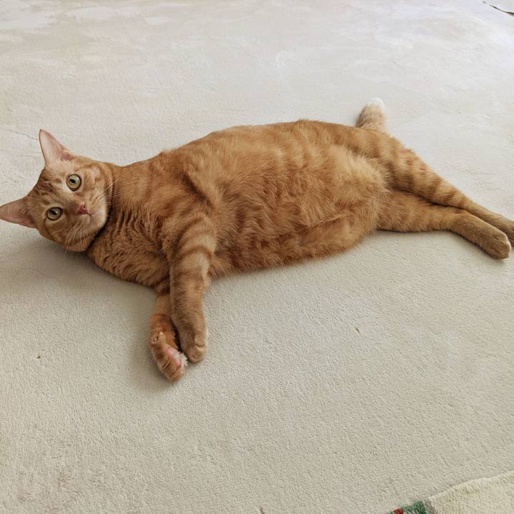 D2a75a6a af04 41bc 91e4 7cfda845424f 1663373361565