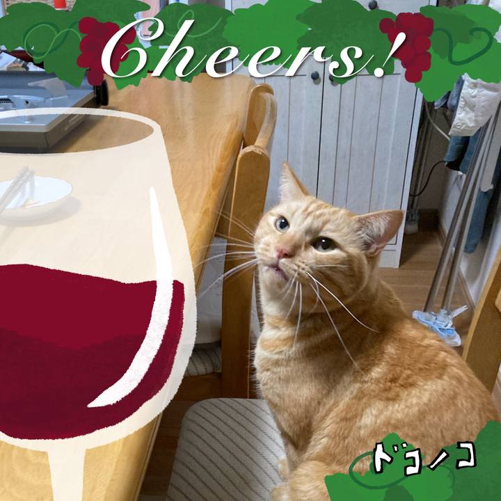 D2a7b14b 04f2 4e3f bcb0 07a2183c0c27 1762520982592