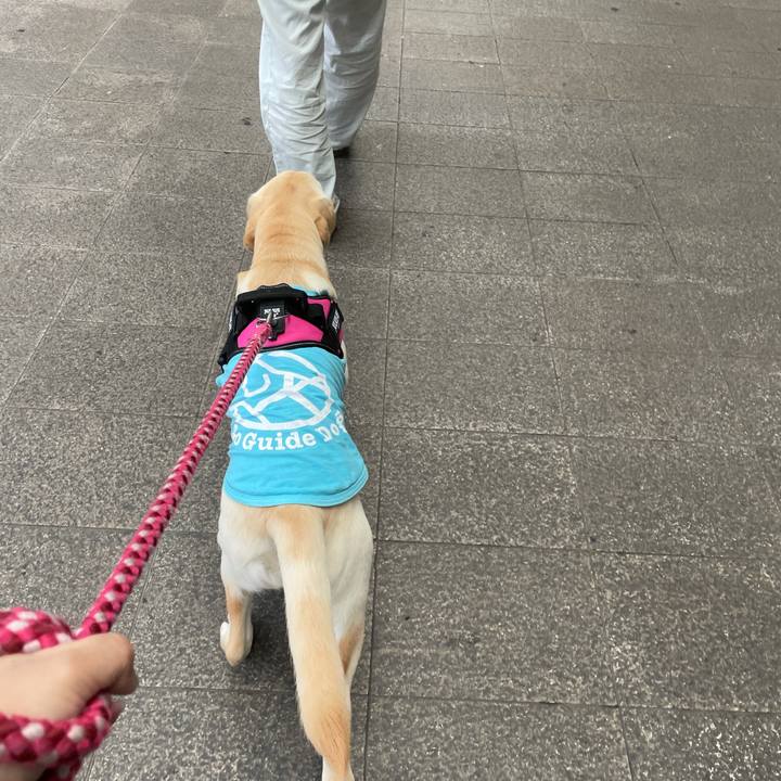 D2a7c226 bf9f 43ec 82c0 c75a52131e76 1622117404884