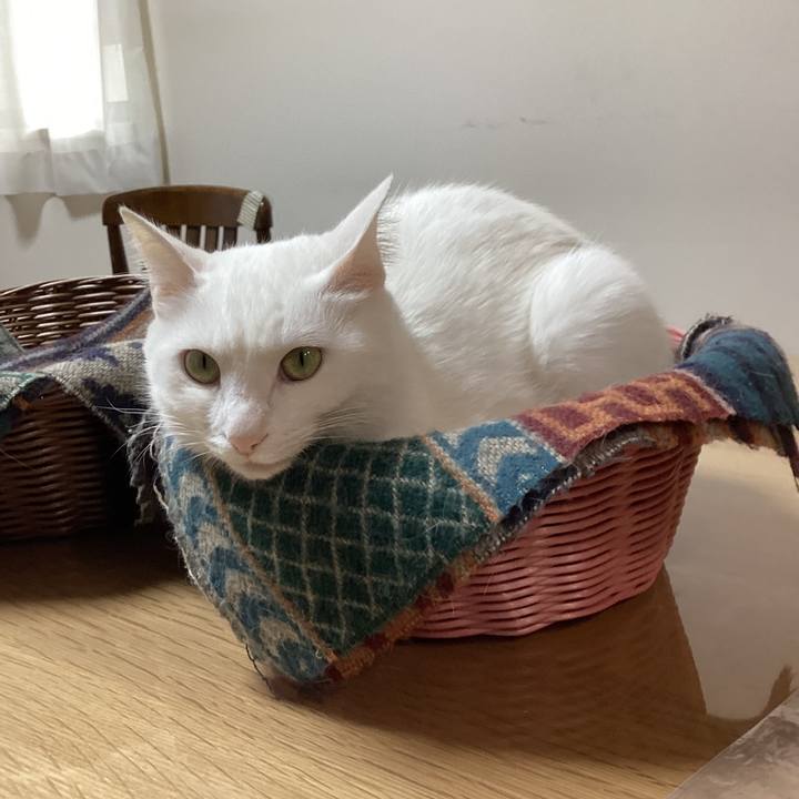 D2a7ccd2 dff9 4023 898d 074ac50aa522 1647472166224