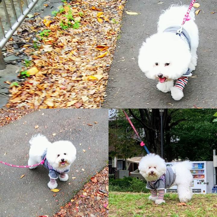 D2a7e8ff dd59 478e 9ee8 f050e560c448 1541389589380