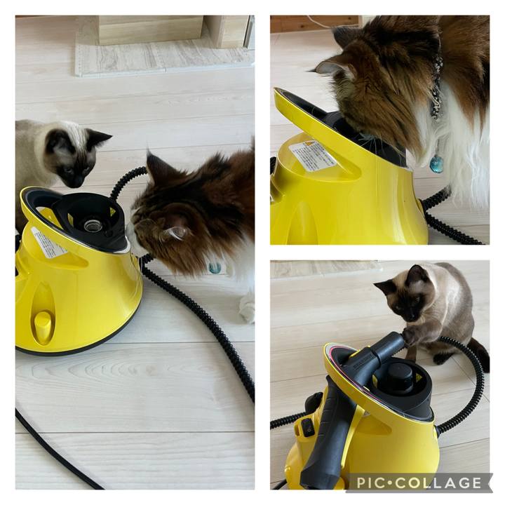 D2a7eddc 43c3 485f 9869 49cbbb1c235b 1733032710544