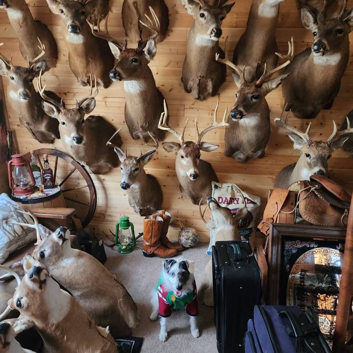 D2a8063a 2add 4c60 abd2 5513c0e005c3 1669326390553