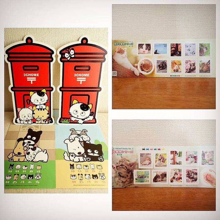 D2a806c3 136a 44ec a848 d8ee38cdbcf0 1519967174325