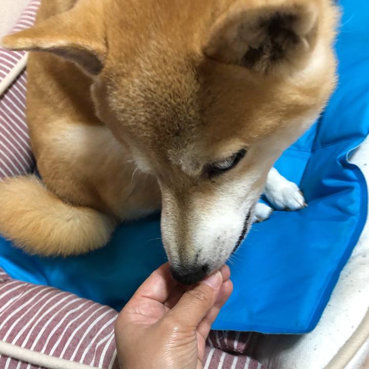 D2a84985 bba1 4b3e abb7 0b77fd953fc8 1601948933443