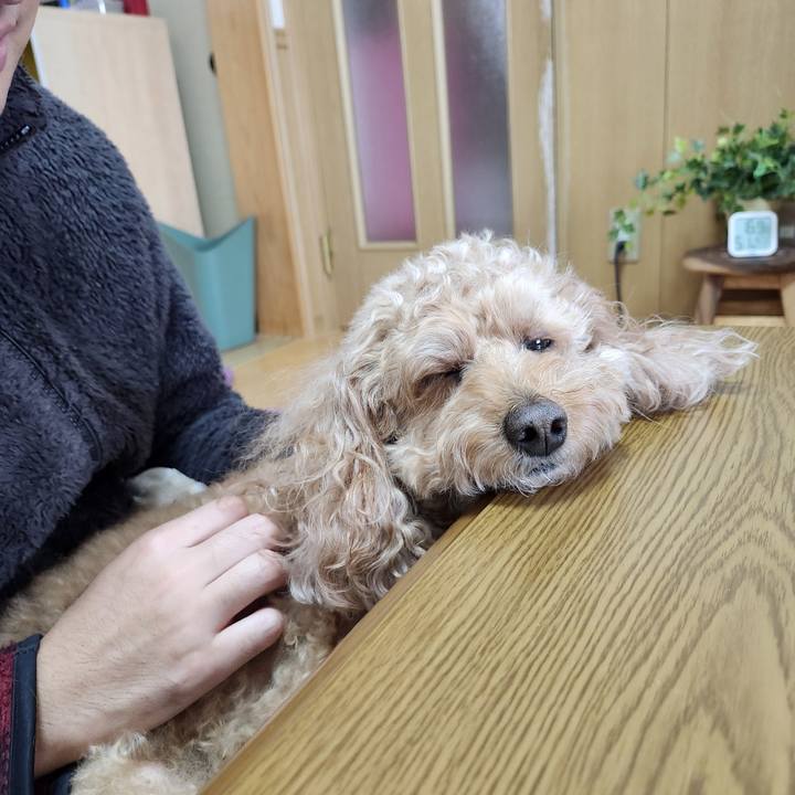 D2a88891 5a53 4f1c 8cf1 fb1fb304fbb8 1767329338027