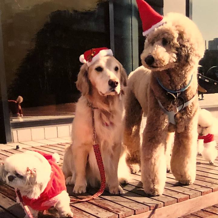 D2a8c9df 39f7 4df2 9bf7 dd89942f0ee2 1513610195014