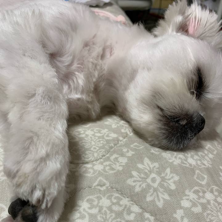 D2a8e0ce 988f 422c ae4b d1db1ce417e5 1720614883985