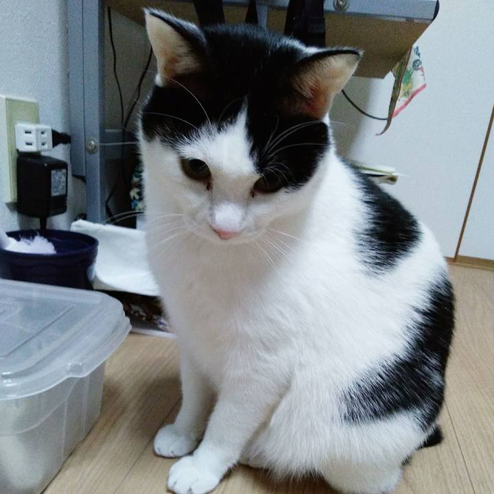 D2a9290b 50ad 4e52 bd63 3dac49950364 1517832043971