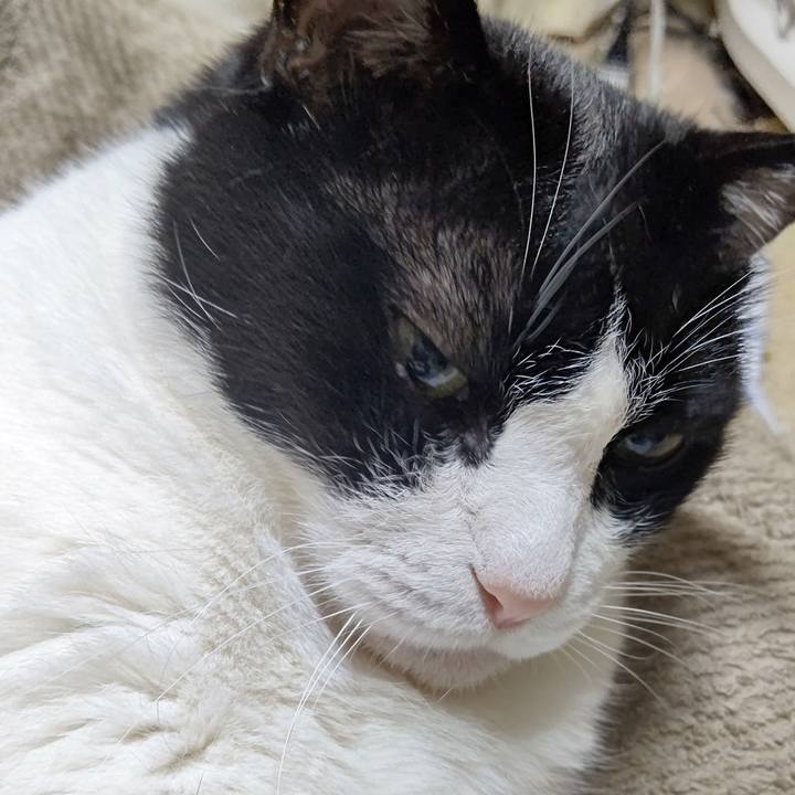 D2a99386 8c68 4b6d b781 4075f4ae1768 1628249495607