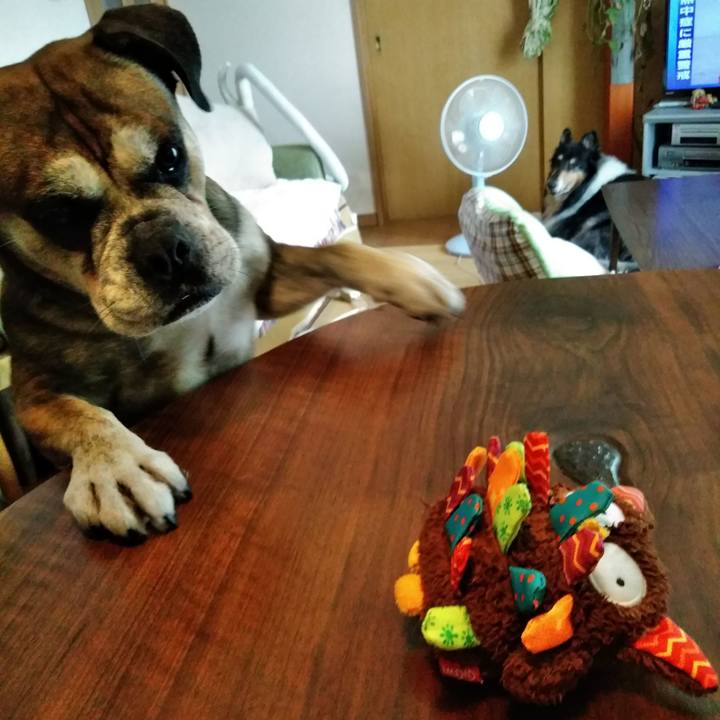 D2a9bce0 e4e9 4986 976d 2a5736e61cb3 1533308676453