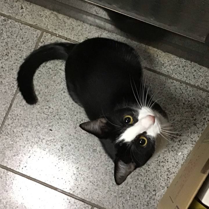 D2a9d04f b142 458c b9aa 8135e238be4a 1667218648921