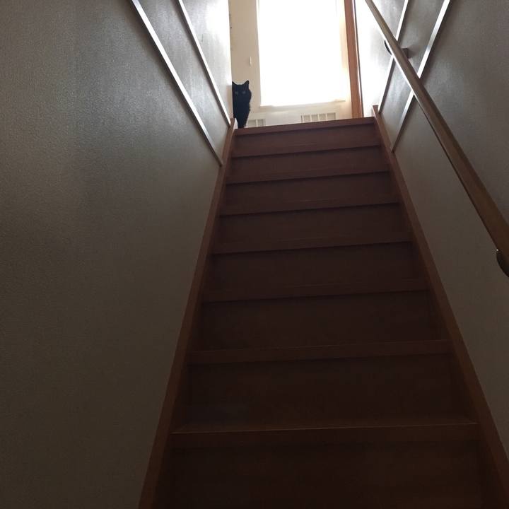 D2a9eb7d 0013 44ba a1db 586e3be65680 1529763822416