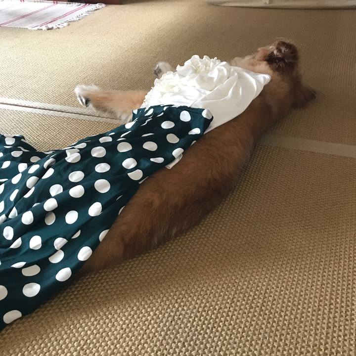 D2aa18a4 a4ab 4abd 9d73 993ffaf1f675 1533617664224