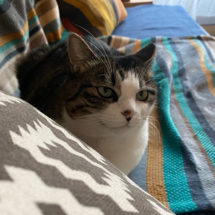 D2aa18d2 f8df 47ff b5ce 4c12add1acea 1608282236125