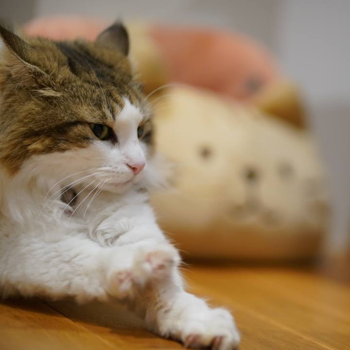 D2aa24e0 b65d 46be b84e 81b72617f438 1699967712632