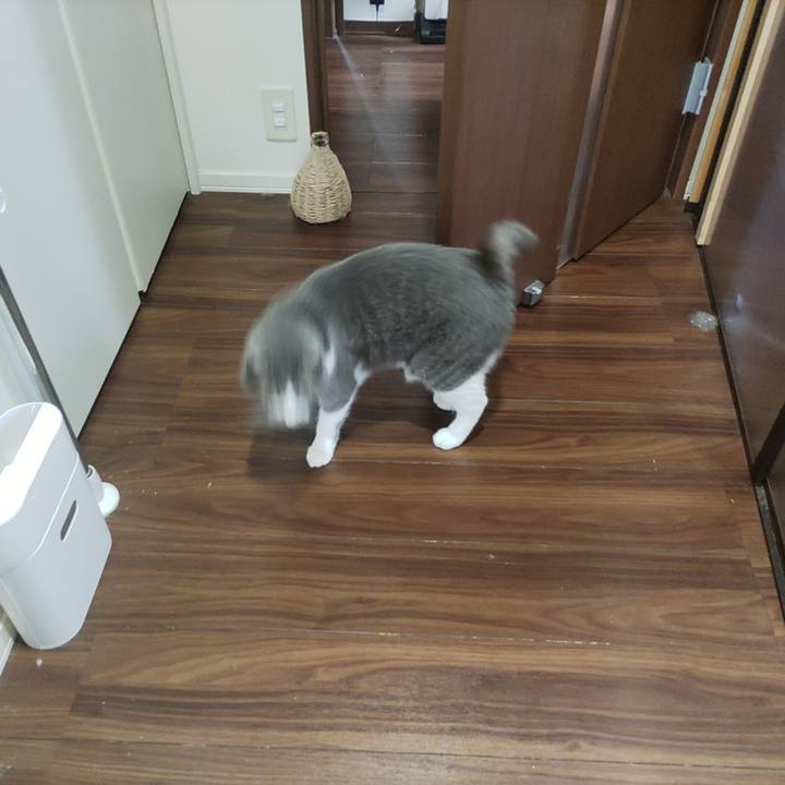 D2aa485f e774 469e b3a3 7934b2e3993d 1679801968597