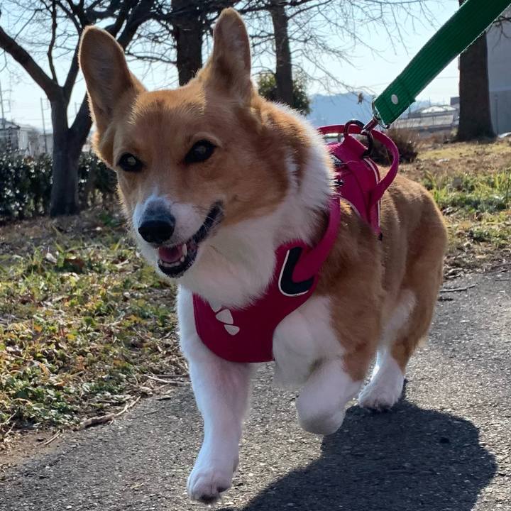 D2aa56c5 f265 40f0 b2df 94cdad18b3c9 1643170656133