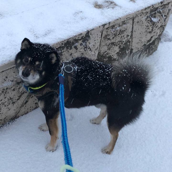 D2aa5d24 7557 423d be25 459891099354 1553313503219