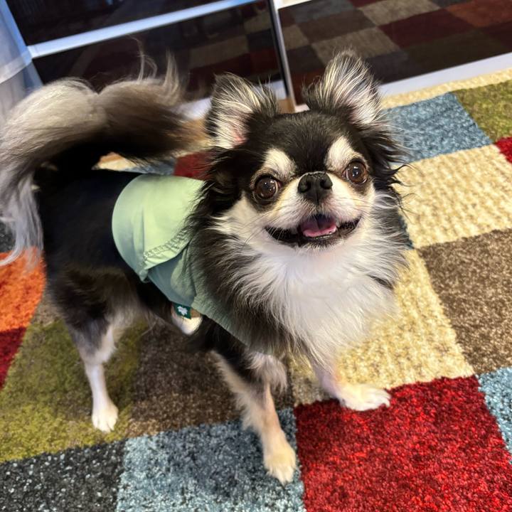 D2aaad95 5e7f 4bb1 93a0 10e2c0e8fef6 1747499971347