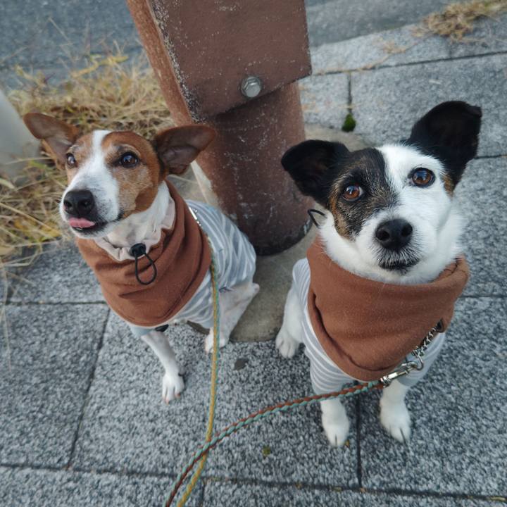 D2aaaf9f 90e9 4eb4 b69f 22d9d913758b 1734386702160