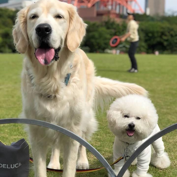 D2aabf43 84f1 4941 9aac a6ead38a952f 1526293443885