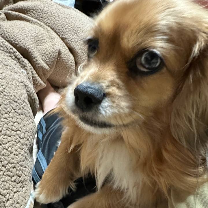 D2aac96f 9df7 416c 84d8 db23064f9d6c 1676412736070