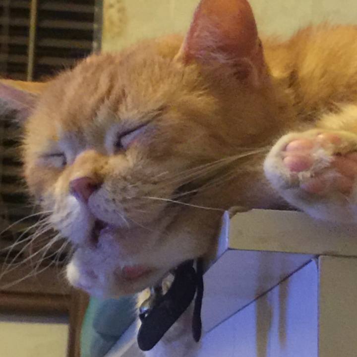 D2aad9df d576 402e bdb1 46c39c724030 1567784291634